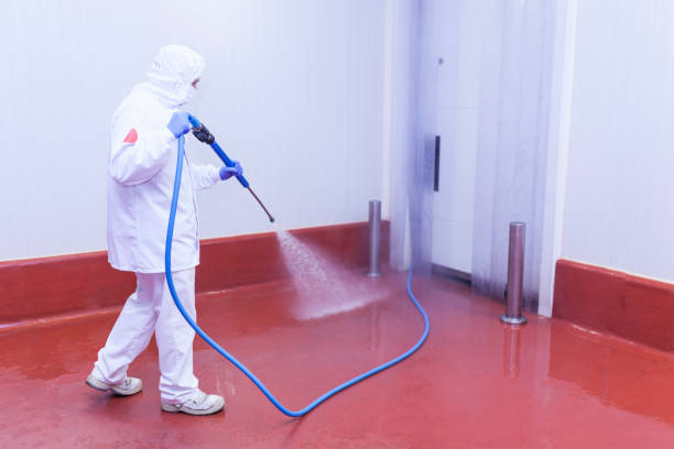 Best House Exterior Washing  in Sullivan, MO
